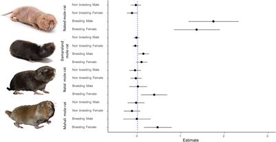 Capture Order Across Social Bathyergids Indicates Similarities in Division of Labour and Spatial Organisation